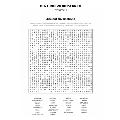 BIG GRID Word Search - 111 HUGE Themed Puzzles - Massive 30x30 Grid - Solutions Included