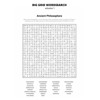 BIG GRID Word Search - 111 HUGE Themed Puzzles - Massive 30x30 Grid - Solutions Included
