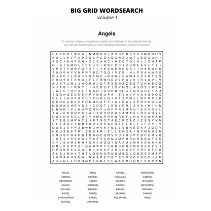 BIG GRID Word Search - 111 HUGE Themed Puzzles - Massive 30x30 Grid - Solutions Included