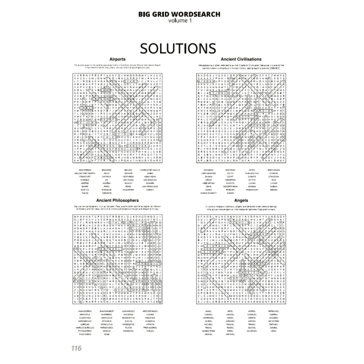 BIG GRID Word Search - 111 HUGE Themed Puzzles - Massive 30x30 Grid - Solutions Included