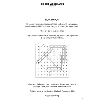 BIG GRID Word Search - 111 HUGE Themed Puzzles - Massive 30x30 Grid - Solutions Included